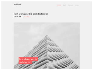 Architect