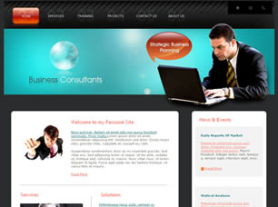 Business Consultants