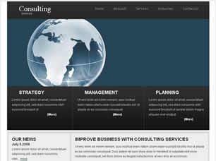 Consulting Services