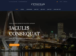 Cytocean