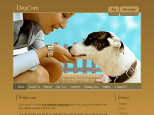 DogCare