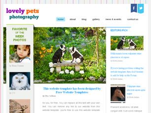 Lovely Pets Photography