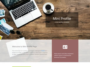Mini Profile