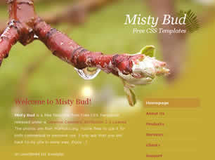 Misty Bud
