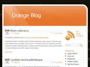 Orange Blog