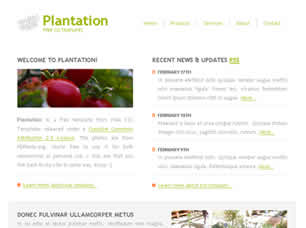 Plantation
