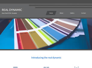 Real Dynamic