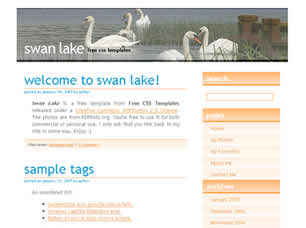 Swan Lake