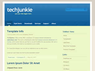 TechJunkie 1.0