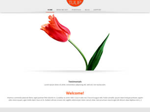 Tulip