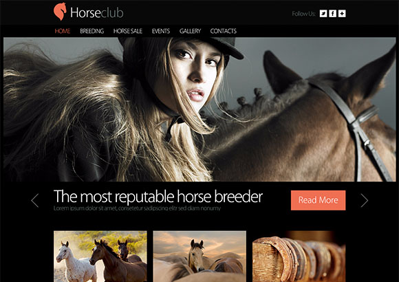 horseclub